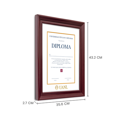 Diploma UANL de Poliestireno