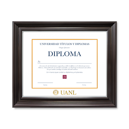 Diploma UANL de Poliestireno