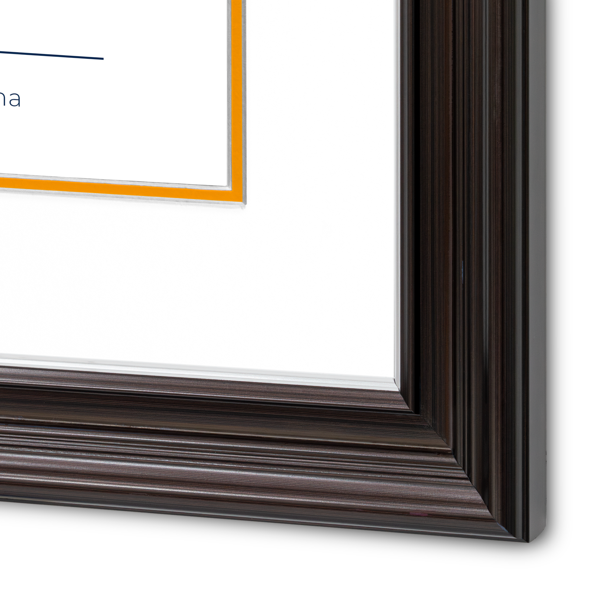 Diploma UANL de Poliestireno