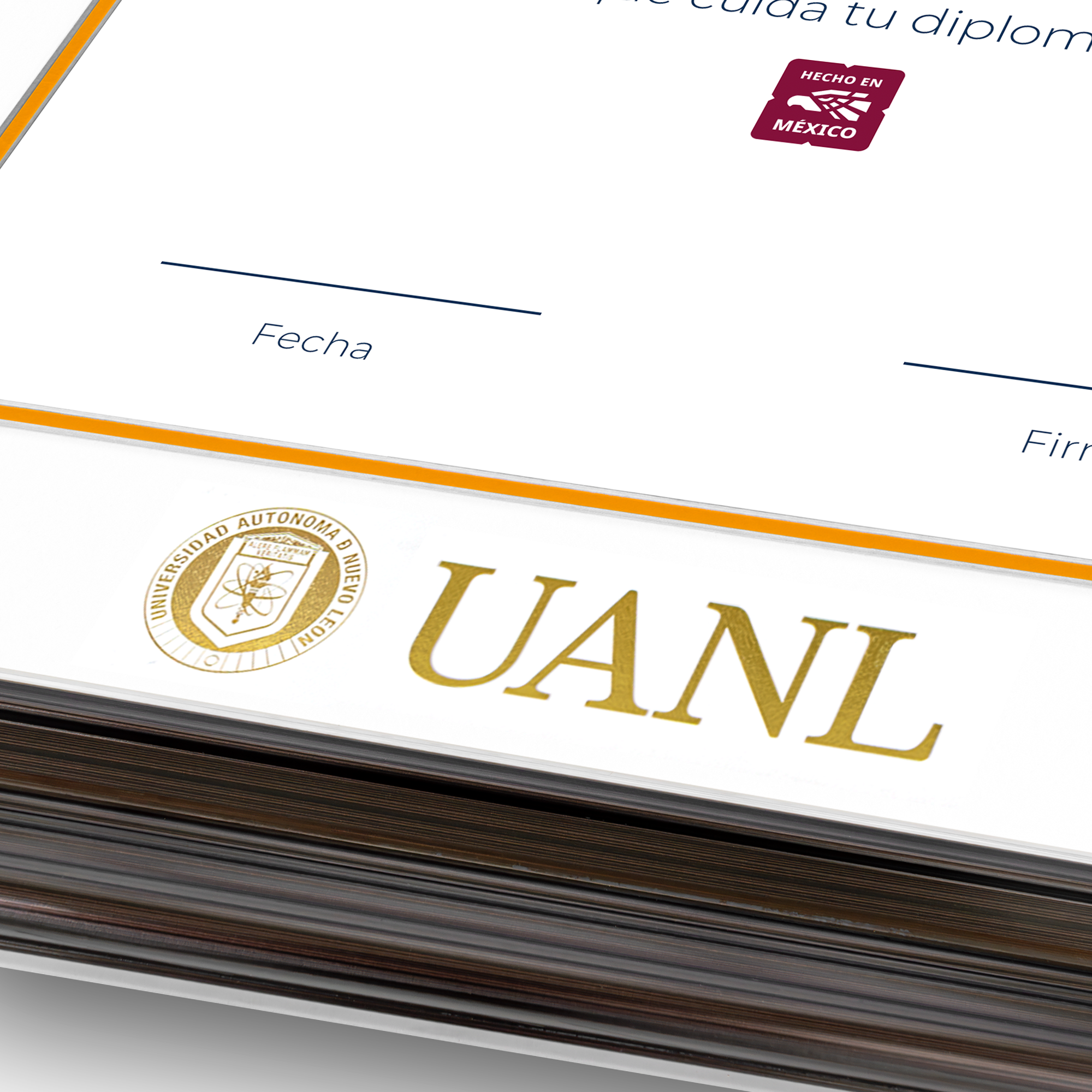 Diploma UANL de Poliestireno