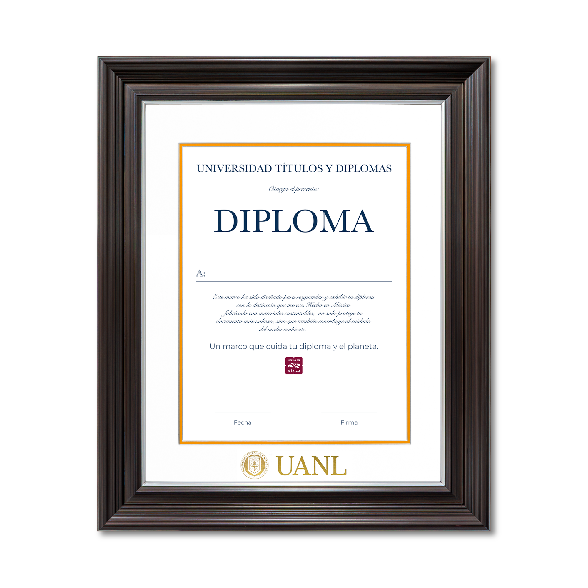 Diploma UANL de Poliestireno