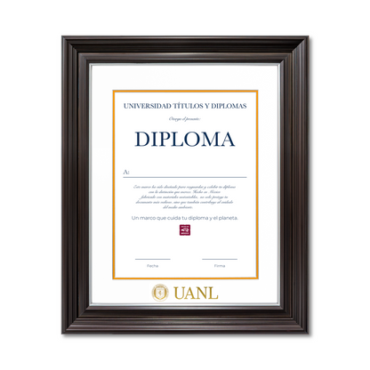 Diploma UANL de Poliestireno