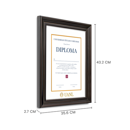 Diploma UANL de Poliestireno
