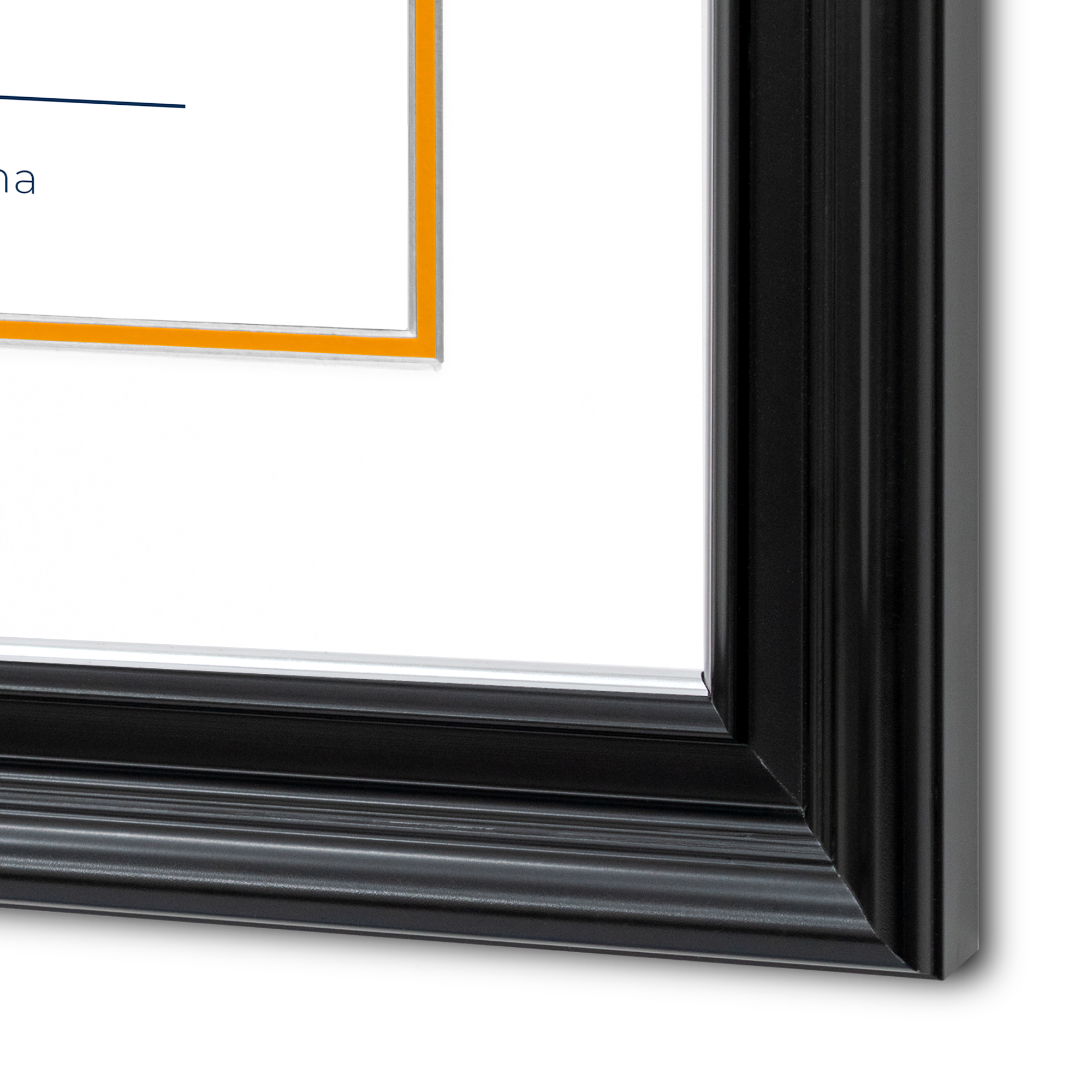 Diploma UANL de Poliestireno