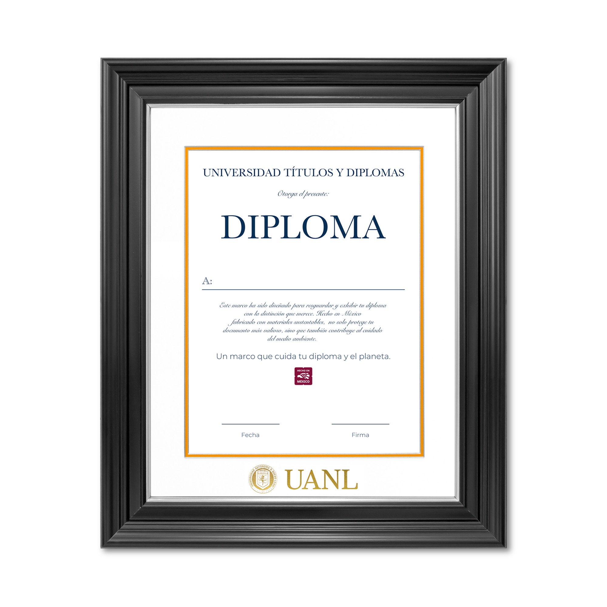 Diploma UANL de Poliestireno