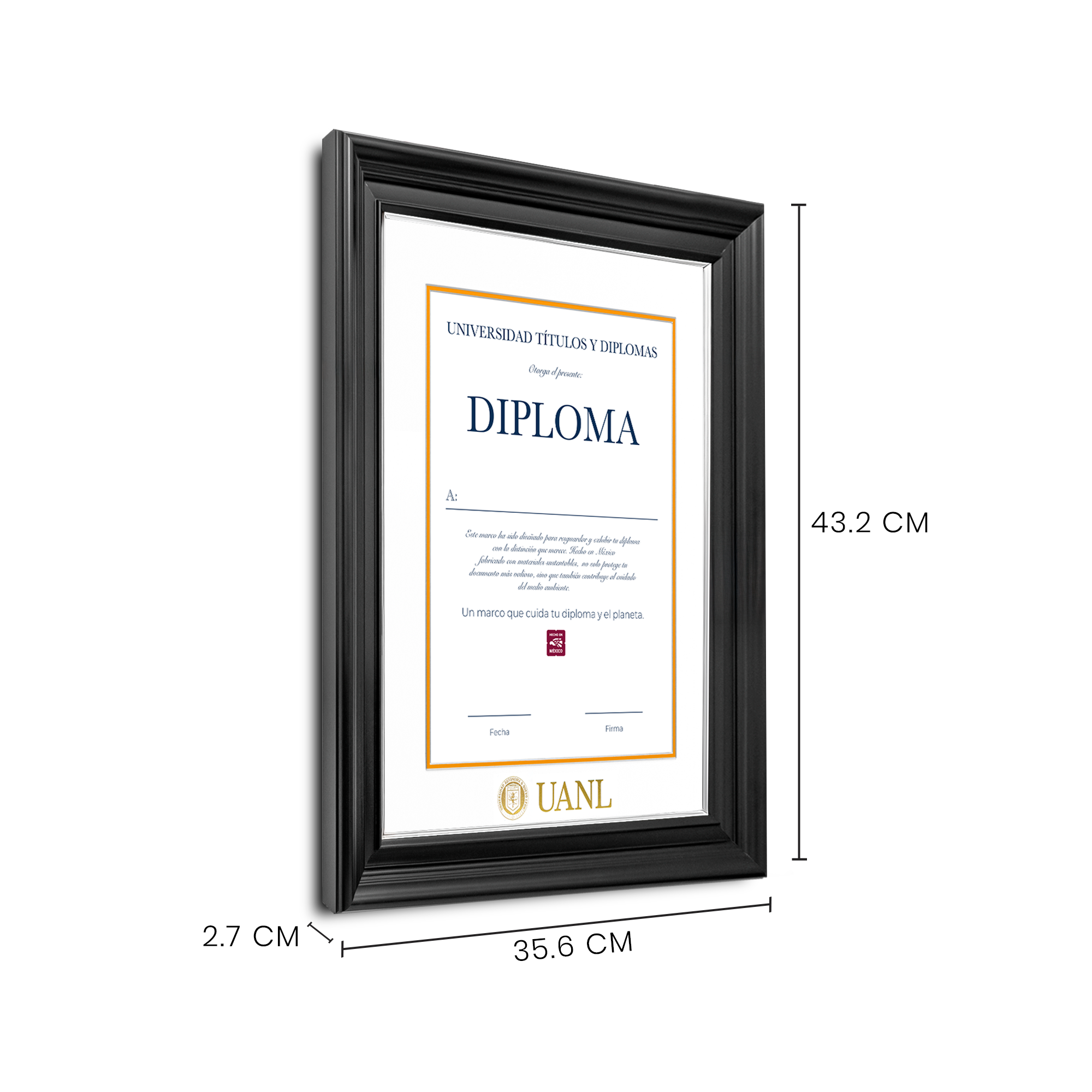 Diploma UANL de Poliestireno