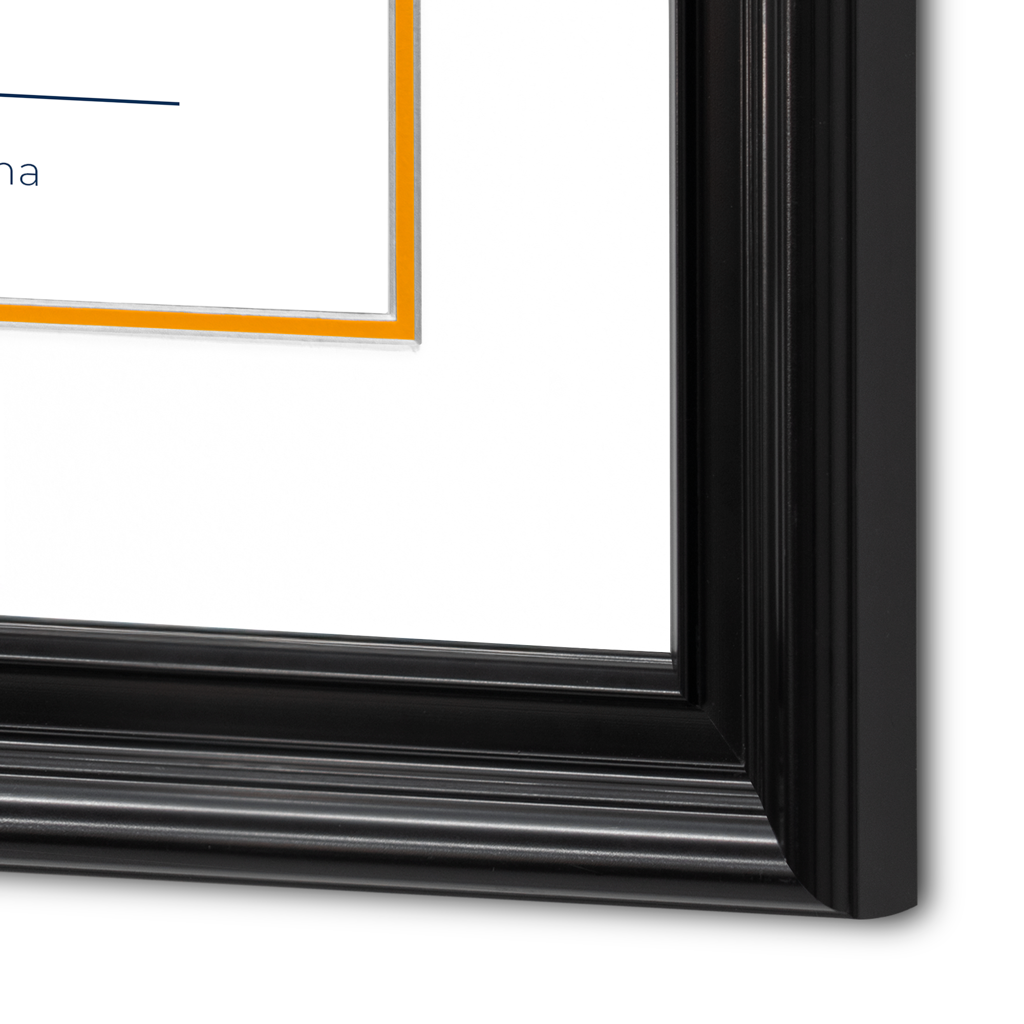 Diploma UANL de Poliestireno