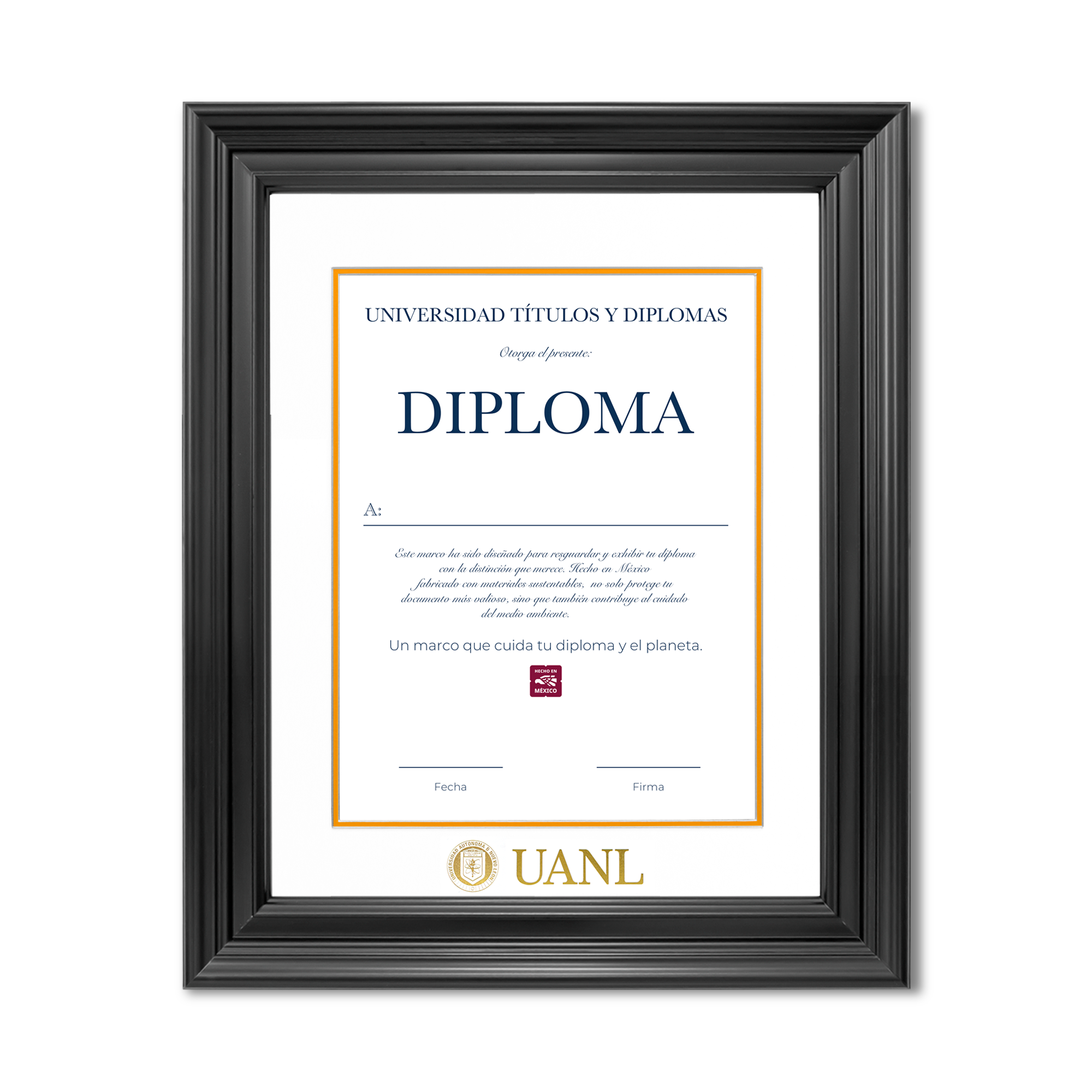 Diploma UANL de Poliestireno