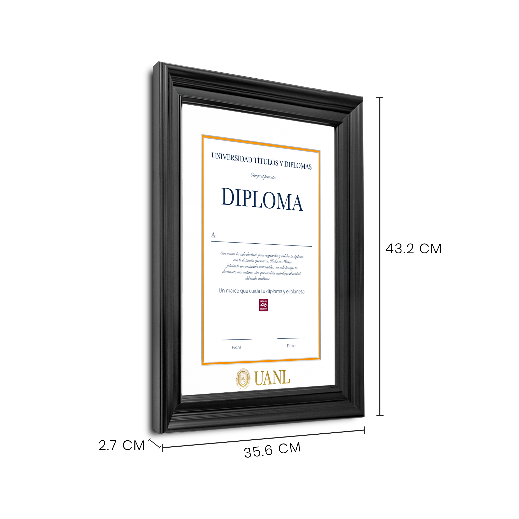 Diploma UANL de Poliestireno