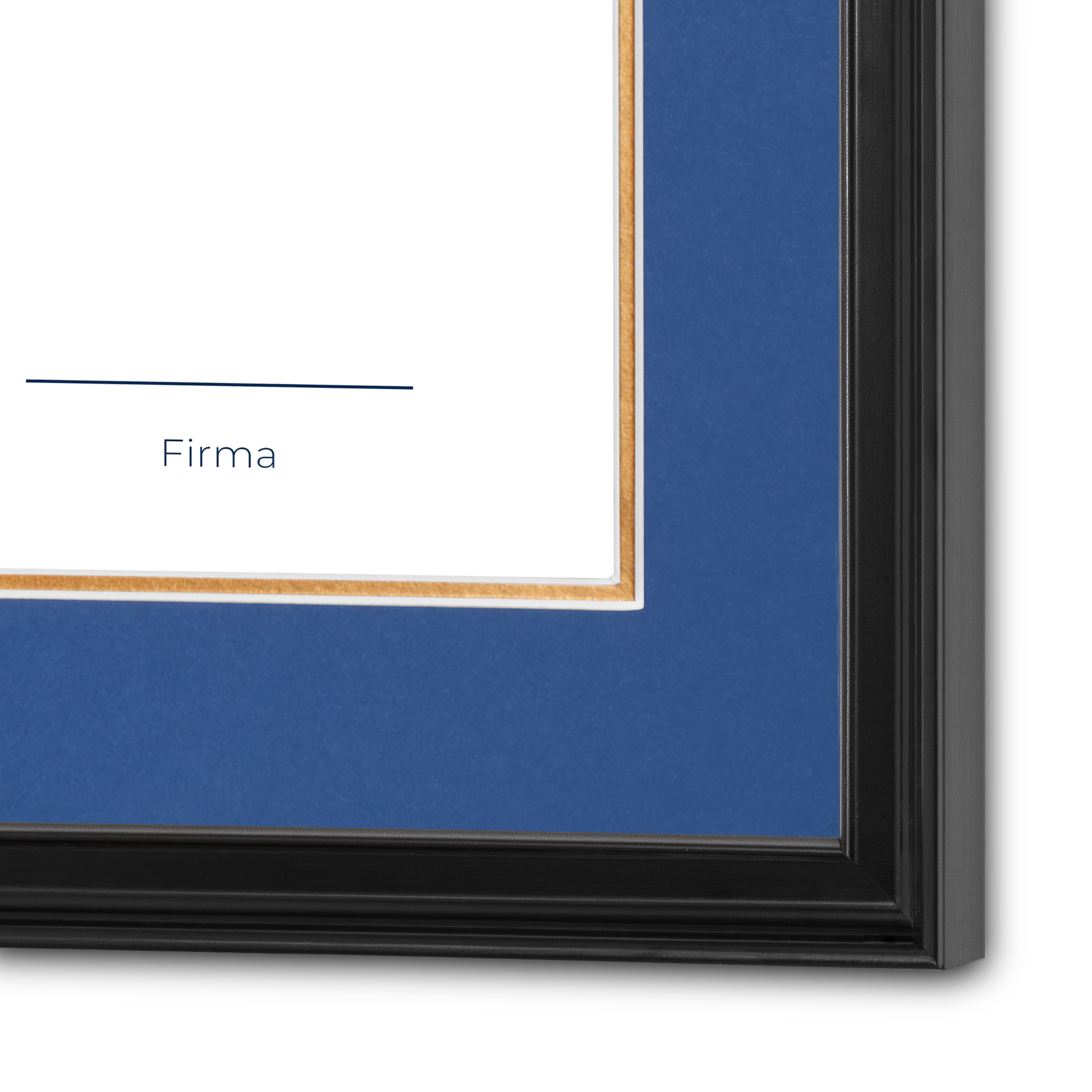 Diploma UNAM de Madera Facultad de Ingeniería