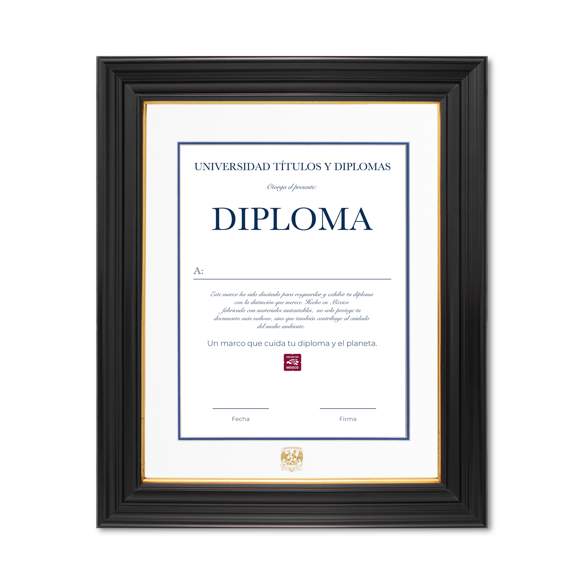 Diploma UNAM de Poliestireno Facultad de Ingeniería
