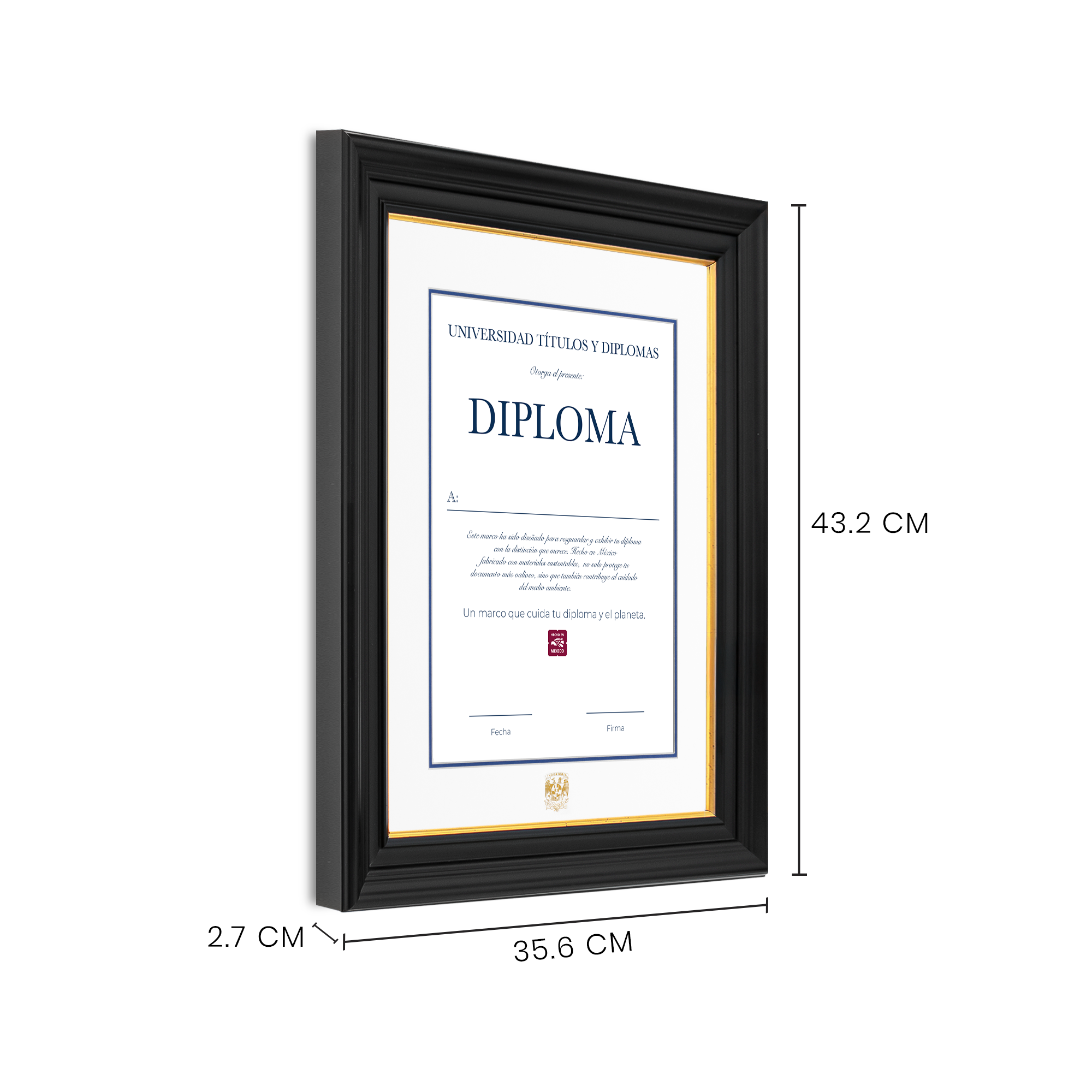 Diploma UNAM de Poliestireno Facultad de Ingeniería