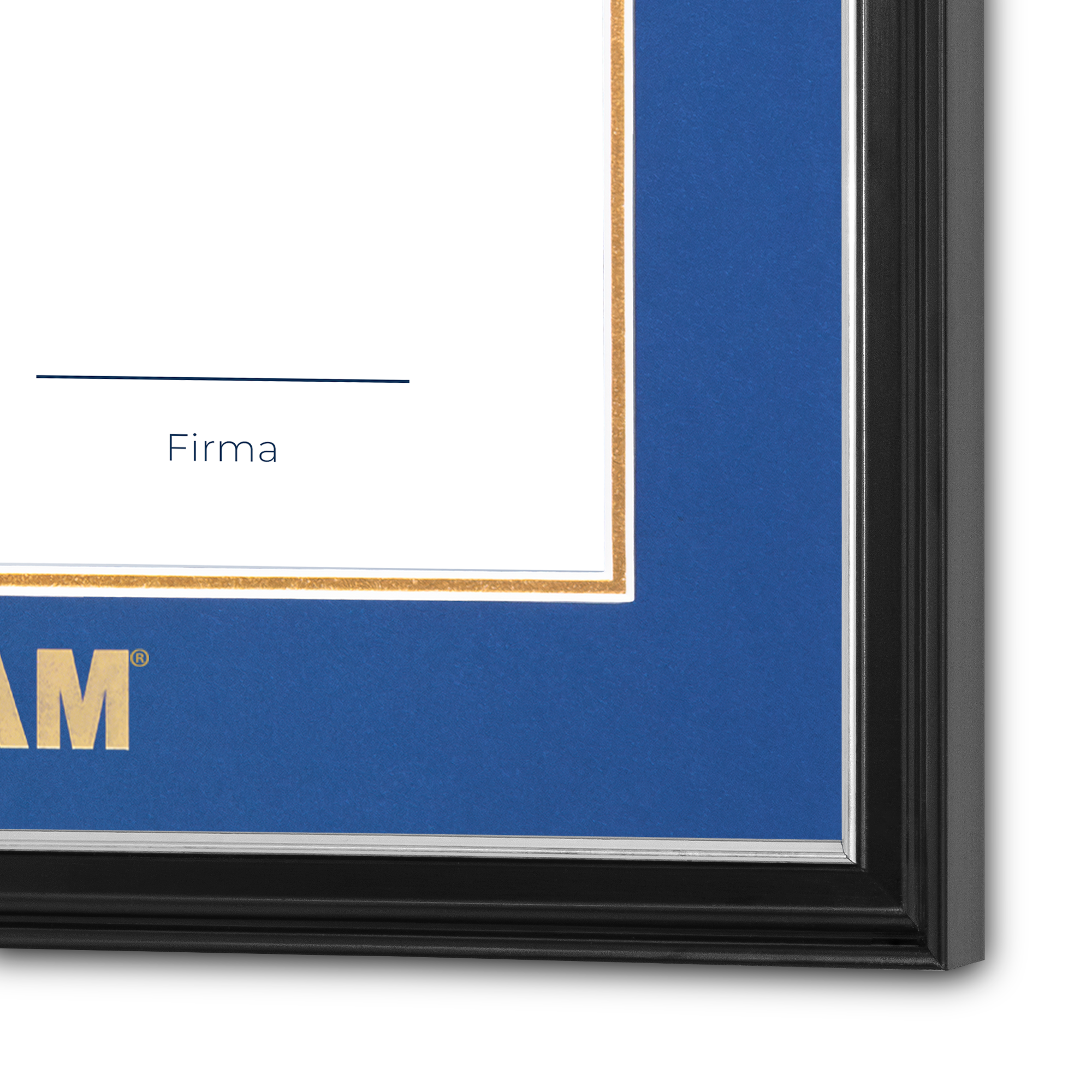 Diploma UNAM de Madera