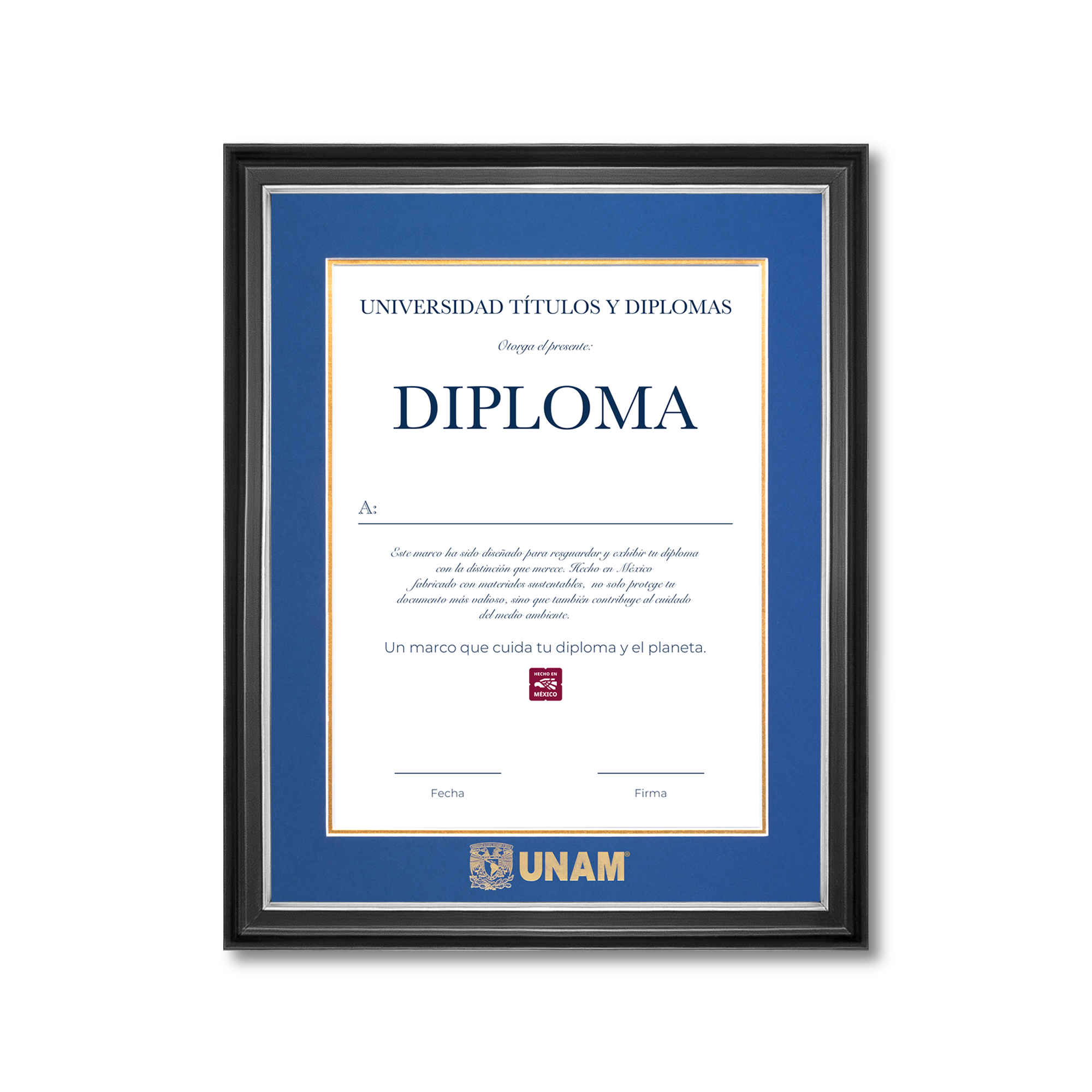 Diploma UNAM de Madera