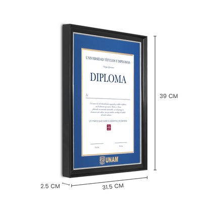 Diploma UNAM de Madera Facultad de Ingeniería