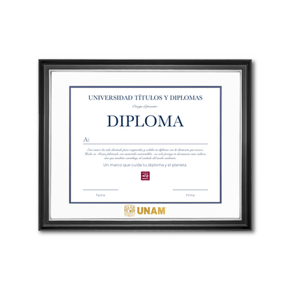 Diploma UNAM de Madera Facultad de Ingeniería