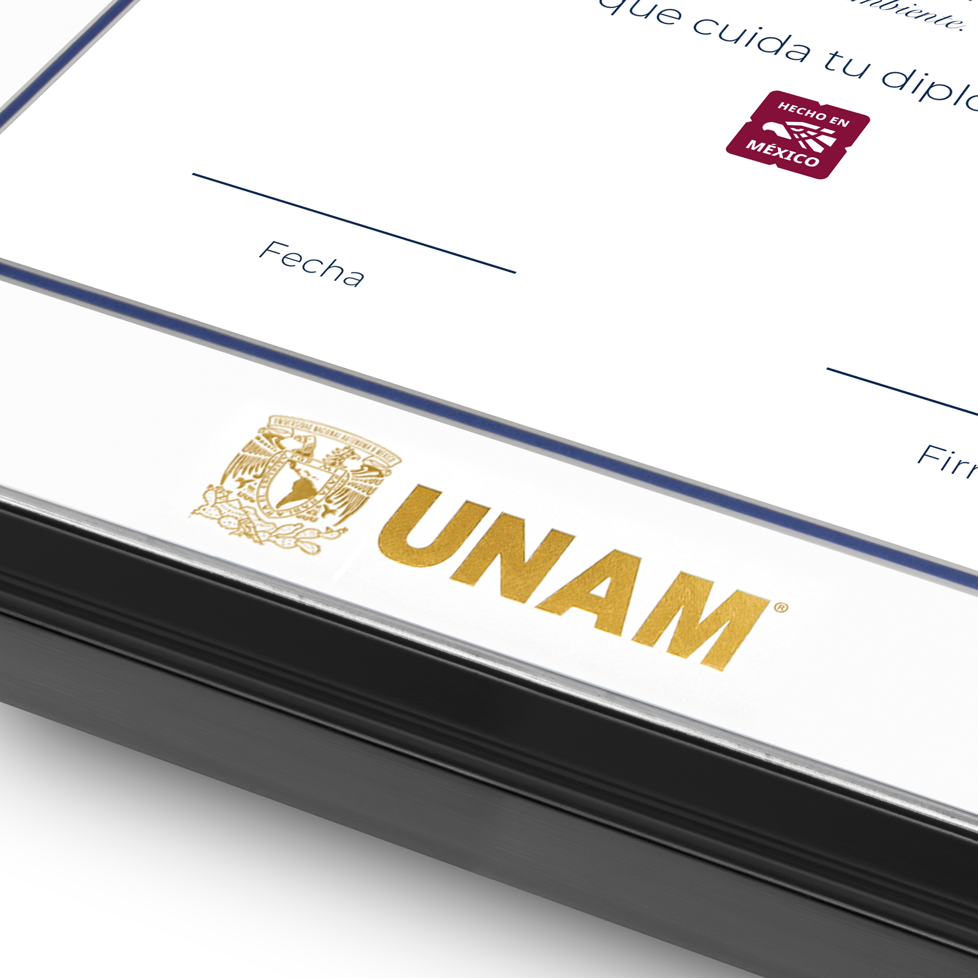 Diploma UNAM de Madera Facultad de Ingeniería