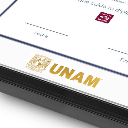 Diploma UNAM de Madera Facultad de Ingeniería