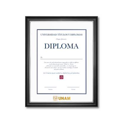 Diploma UNAM de Madera Facultad de Ingeniería