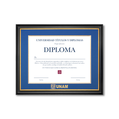 Diploma UNAM de Madera