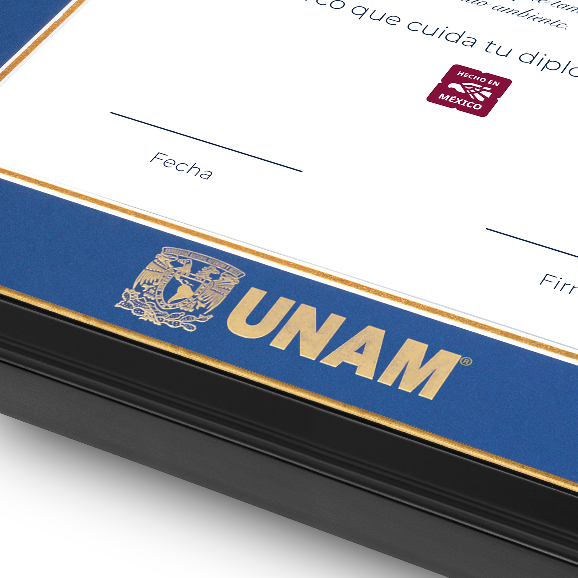 Diploma UNAM de Madera