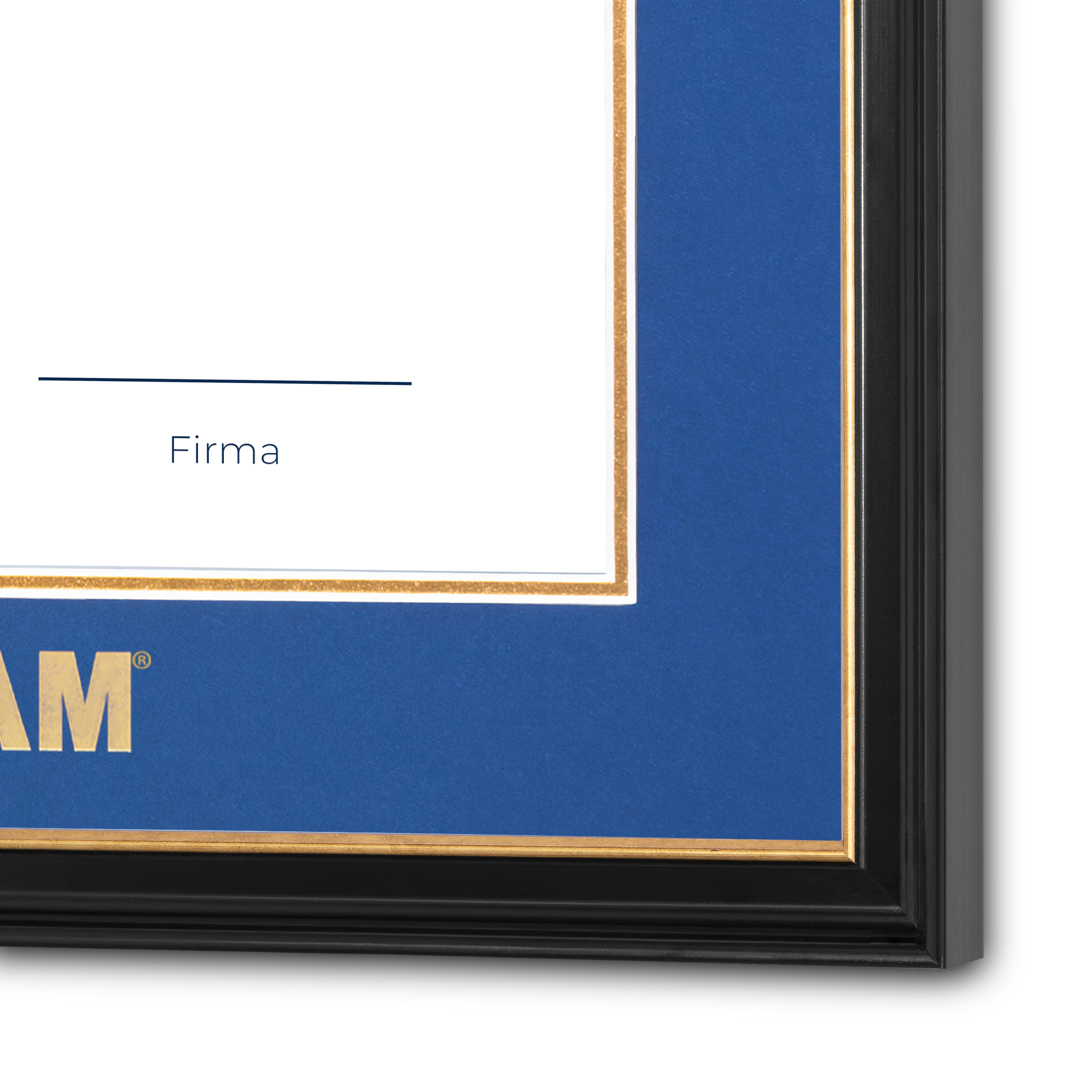 Diploma UNAM de Madera