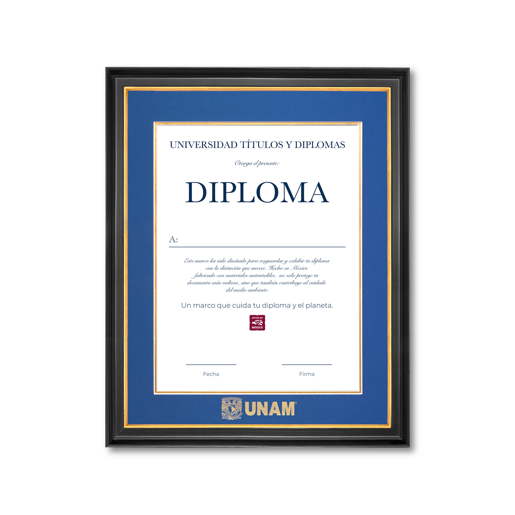 Diploma UNAM de Madera