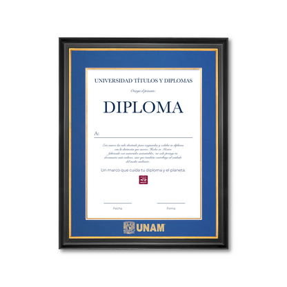 Diploma UNAM de Madera
