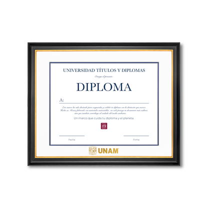 Diploma UNAM de Madera Facultad de Ingeniería