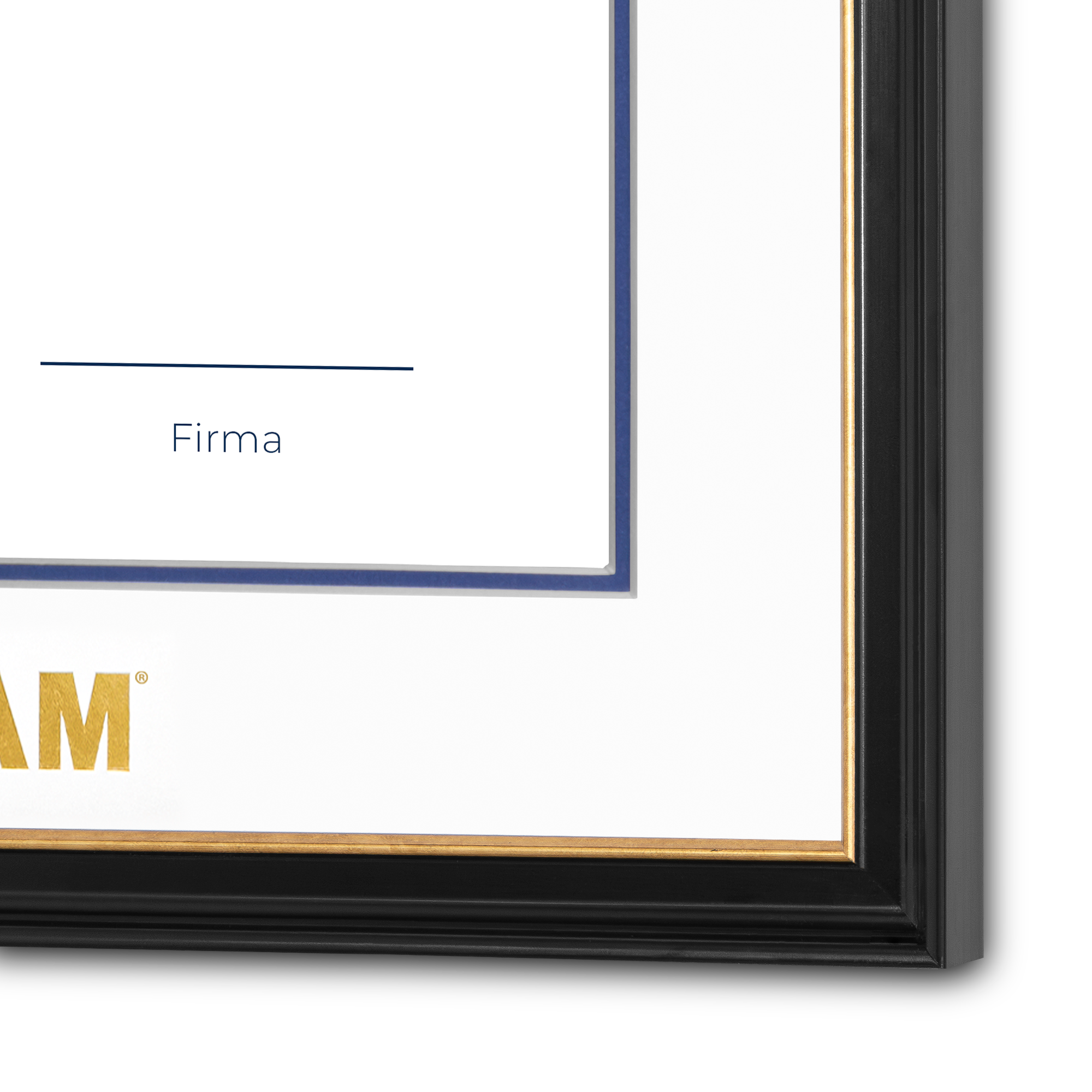 Diploma UNAM de Madera