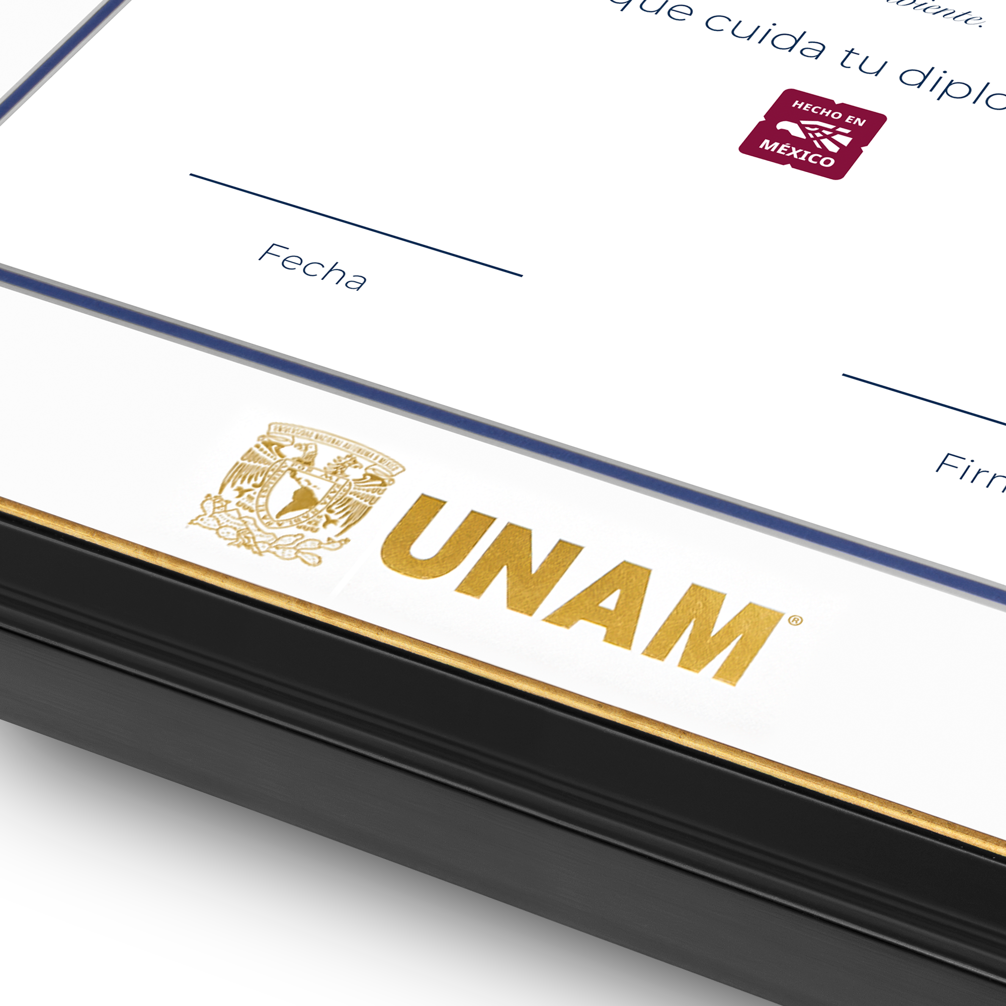 Diploma UNAM de Madera