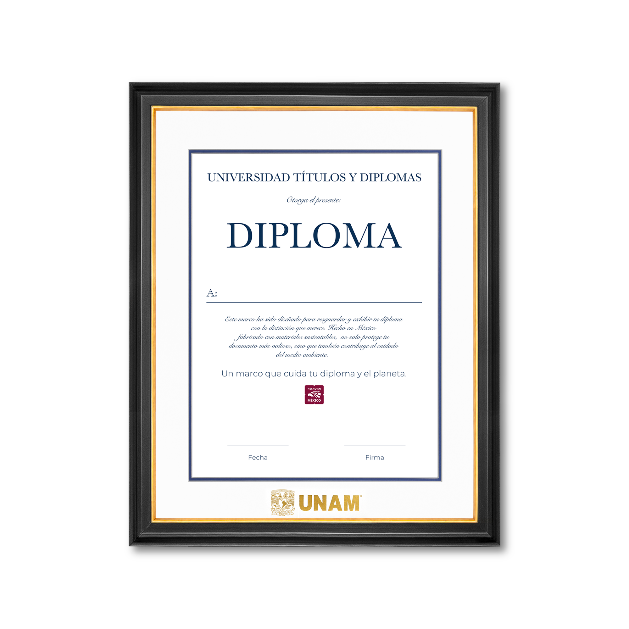 Diploma UNAM de Madera