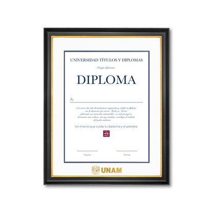 Diploma UNAM de Madera Facultad de Ingeniería