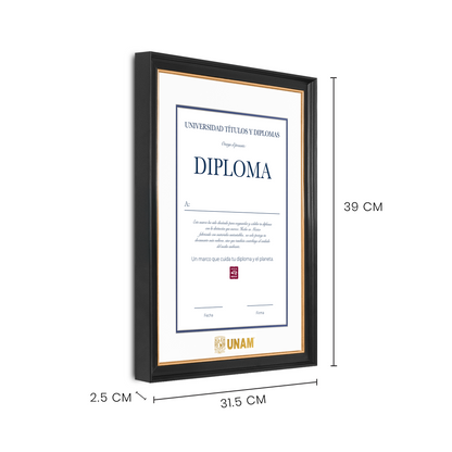 Diploma UNAM de Madera Facultad de Ingeniería