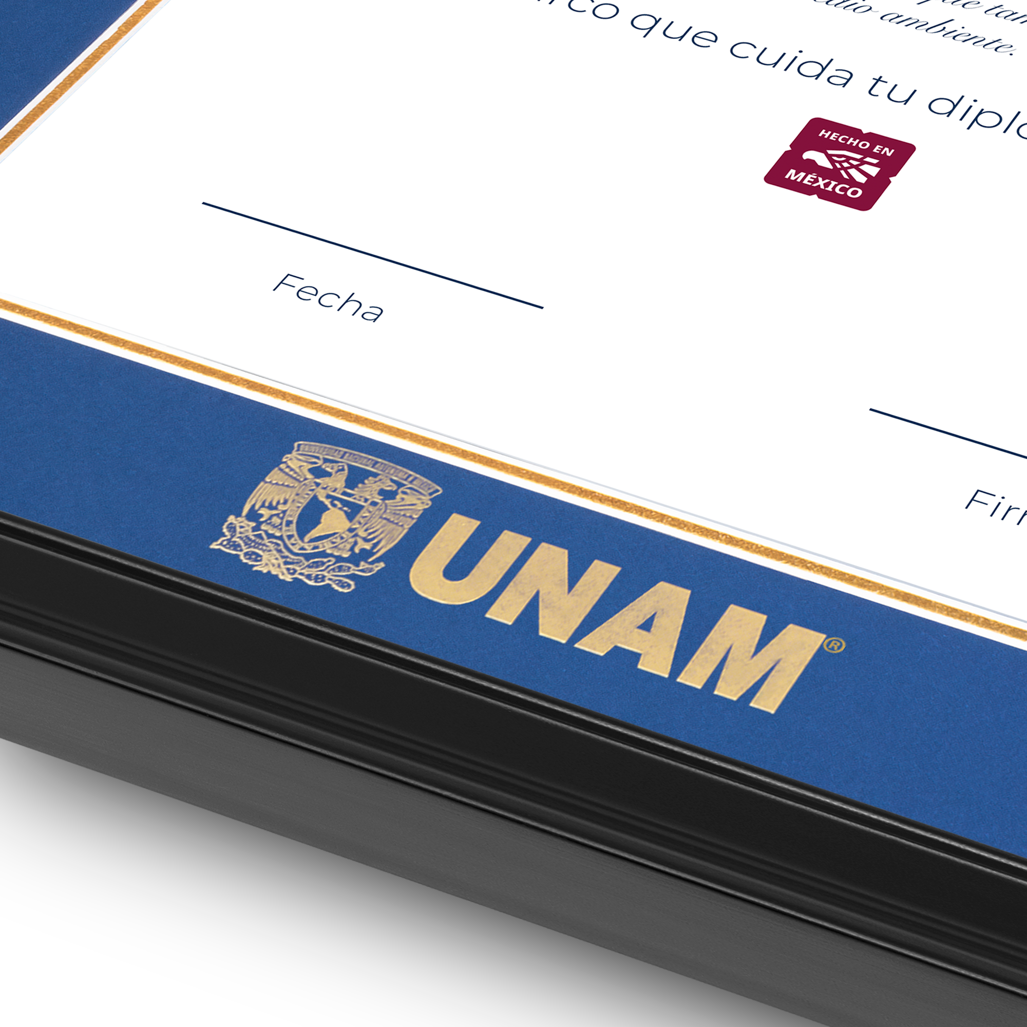 Diploma UNAM de Madera