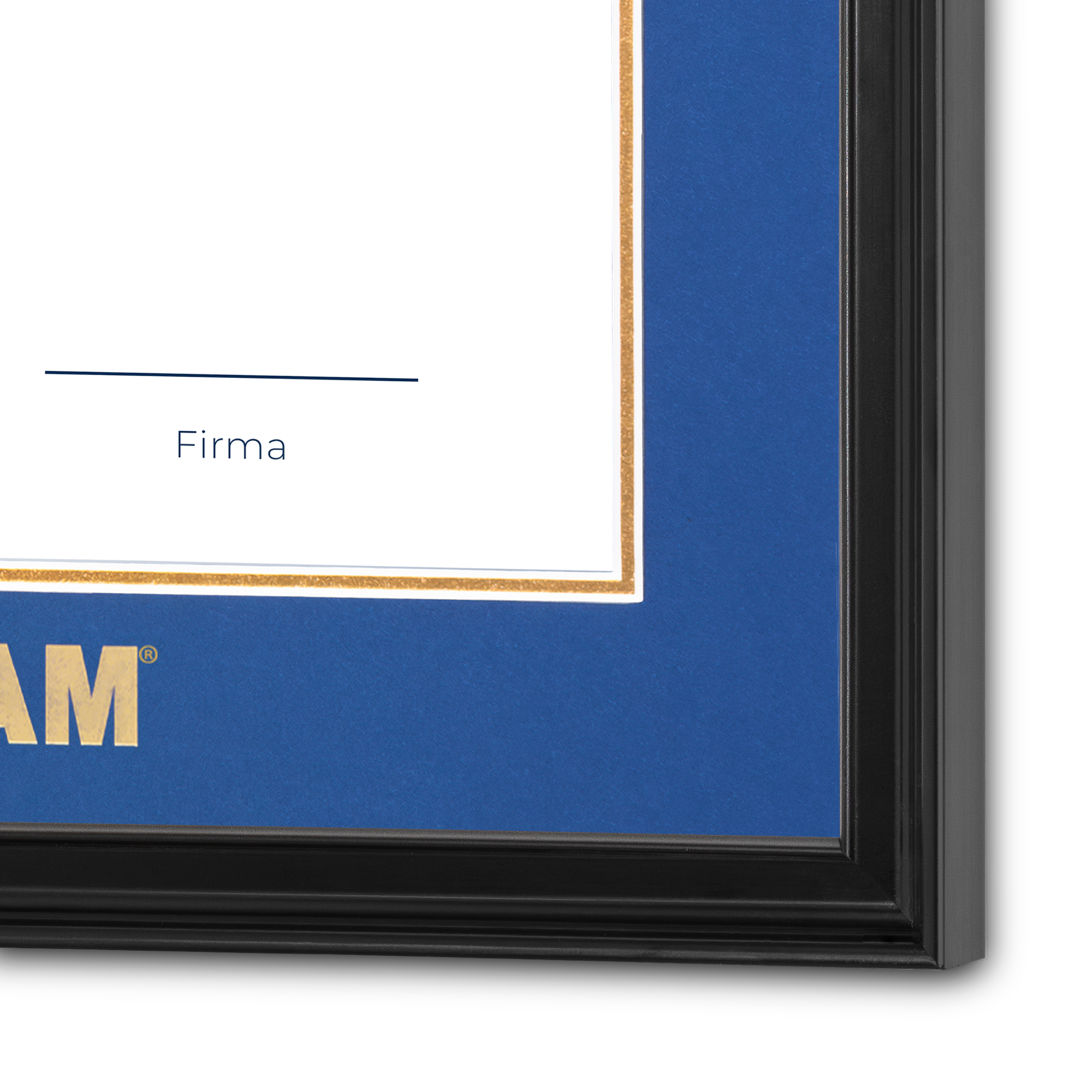 Diploma UNAM de Madera