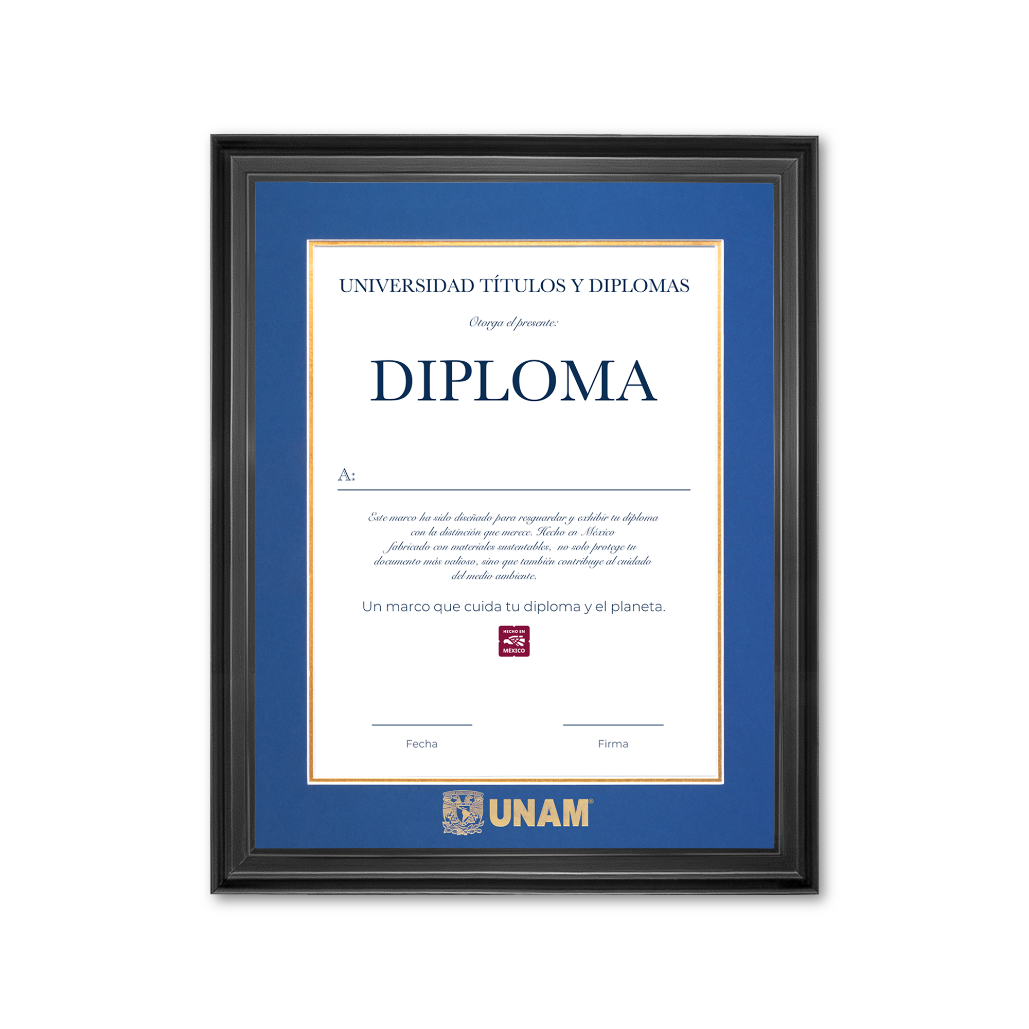 Diploma UNAM de Madera