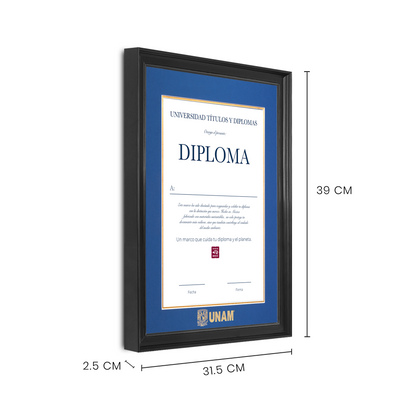 Diploma UNAM de Madera