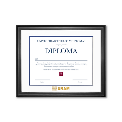 Diploma UNAM de Madera Facultad de Ingeniería