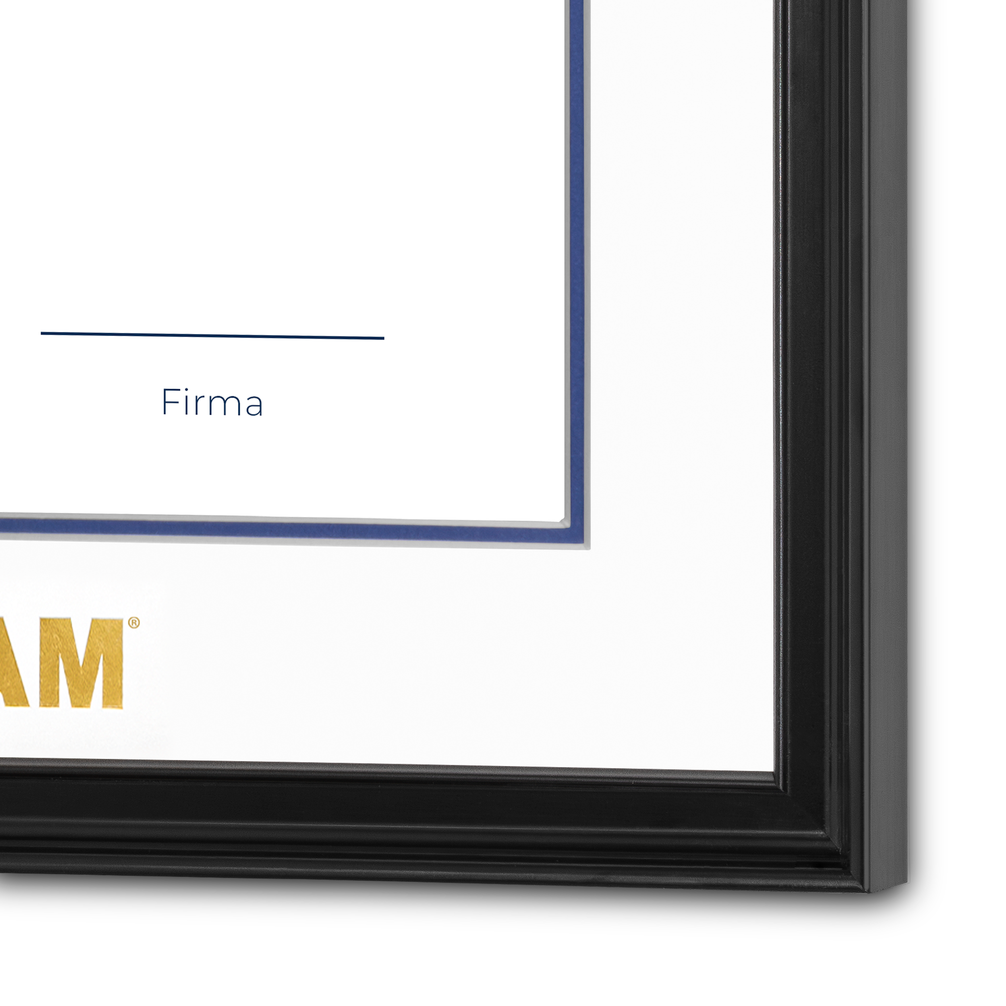 Diploma UNAM de Madera