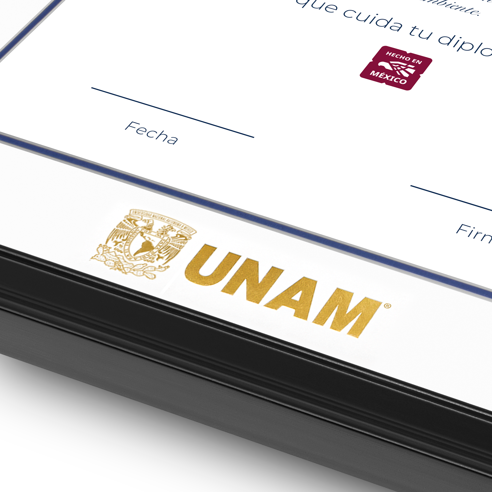 Diploma UNAM de Madera