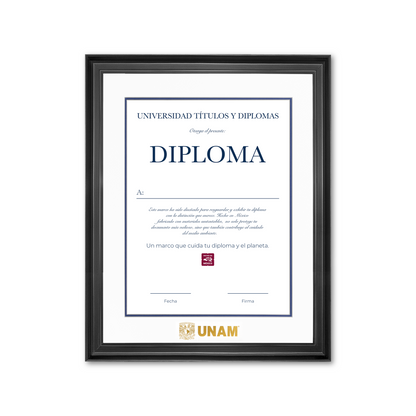 Diploma UNAM de Madera Facultad de Ingeniería