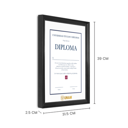 Diploma UNAM de Madera Facultad de Ingeniería