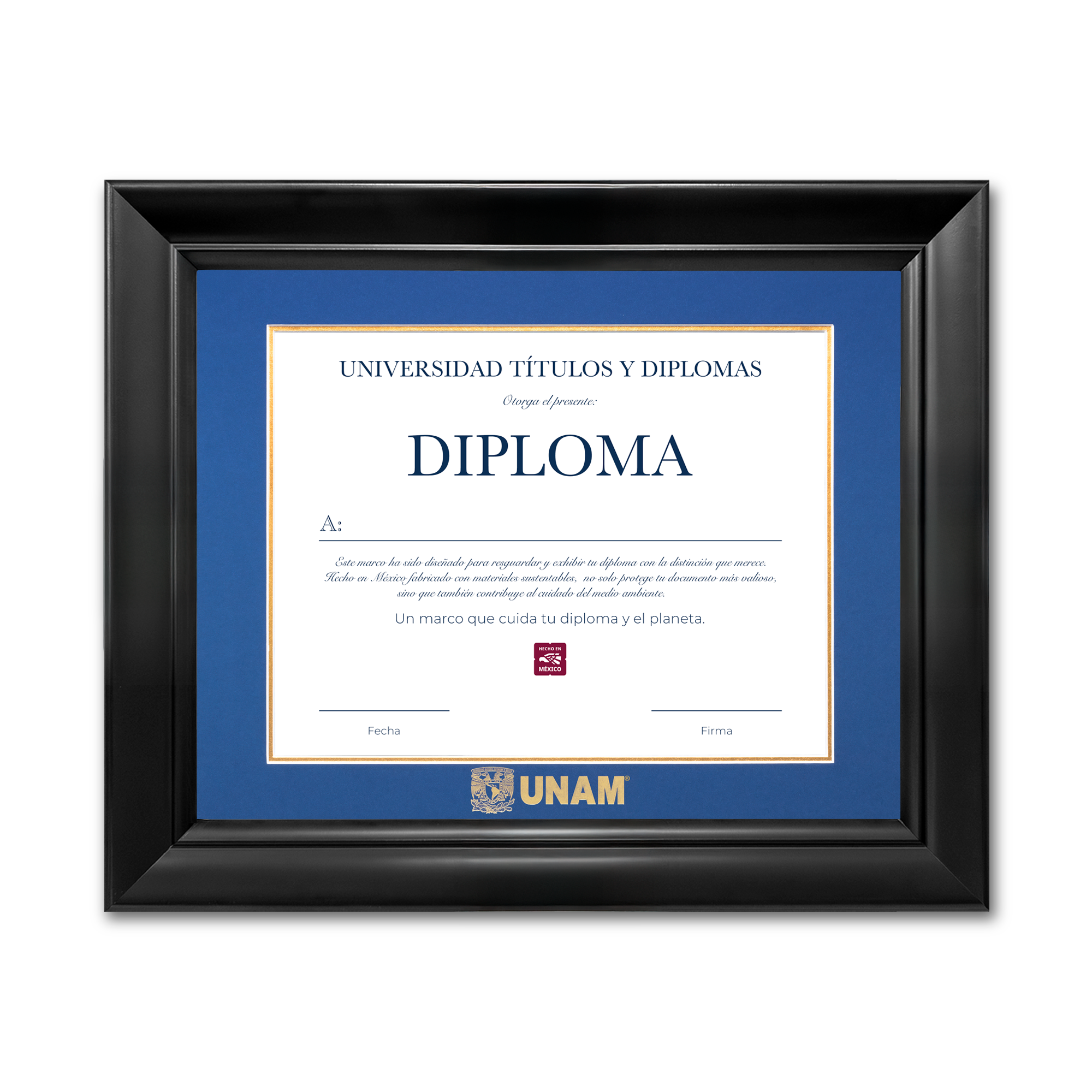 Diploma UNAM de Poliestireno