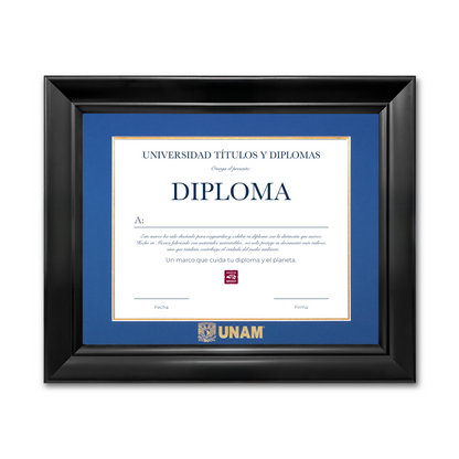 Diploma UNAM de Poliestireno
