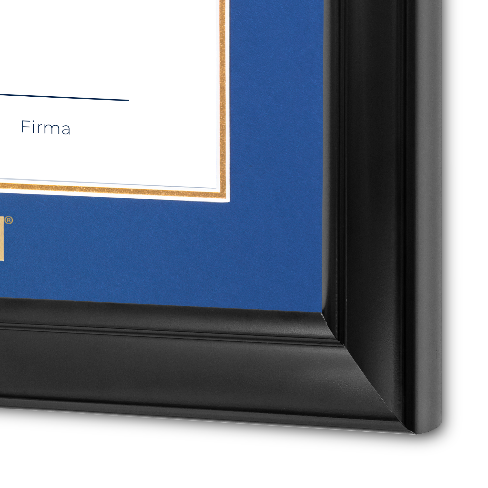 Diploma UNAM de Madera