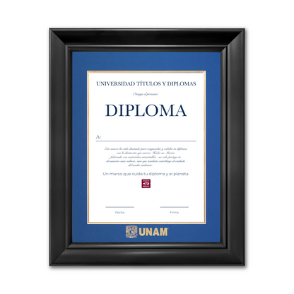 Diploma UNAM de Poliestireno