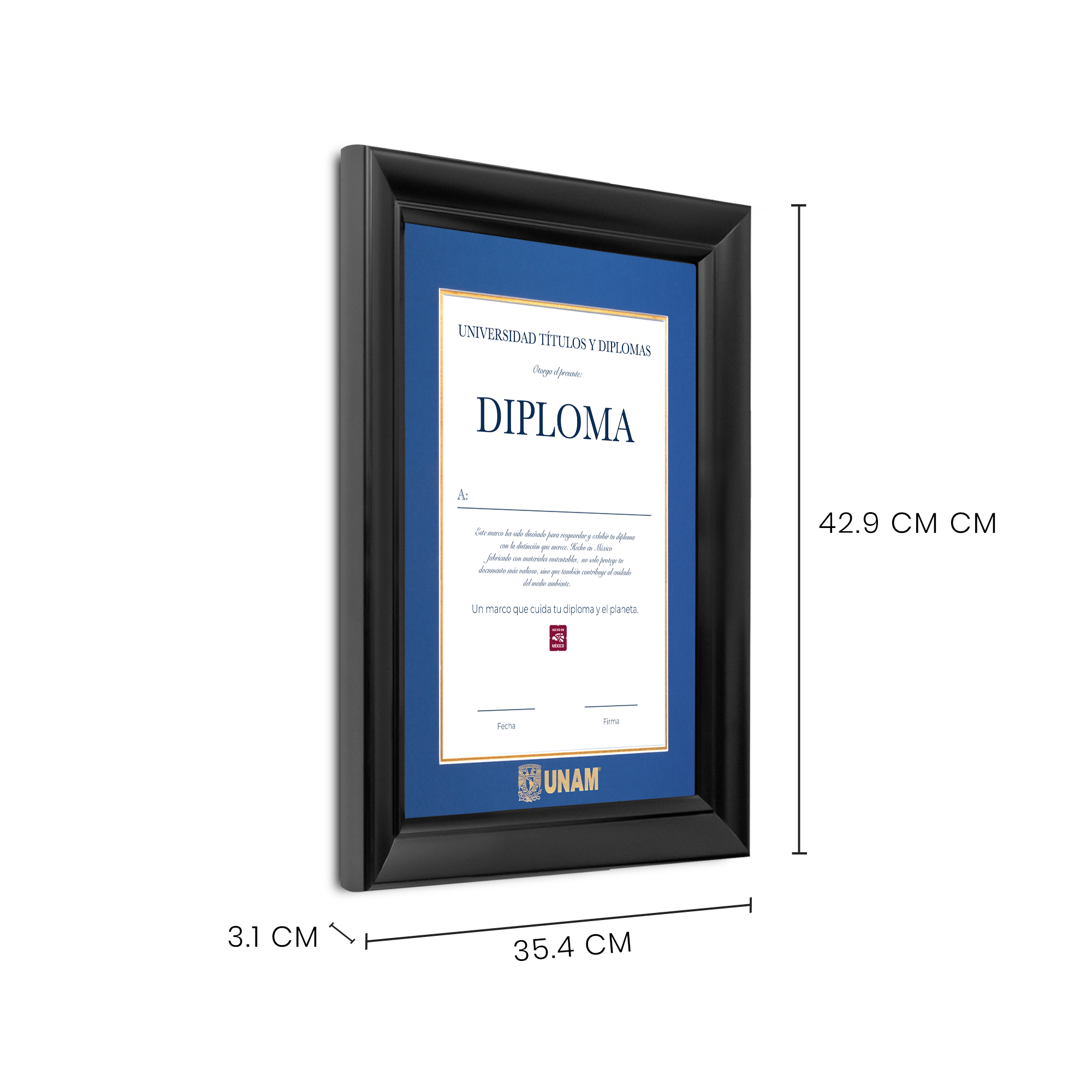 Diploma UNAM de Madera