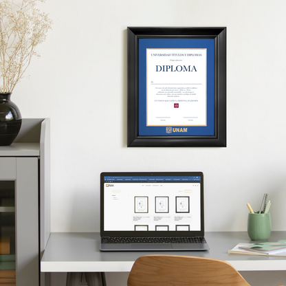 Diploma UNAM de Poliestireno