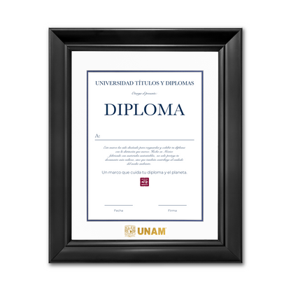 Diploma UNAM de Madera